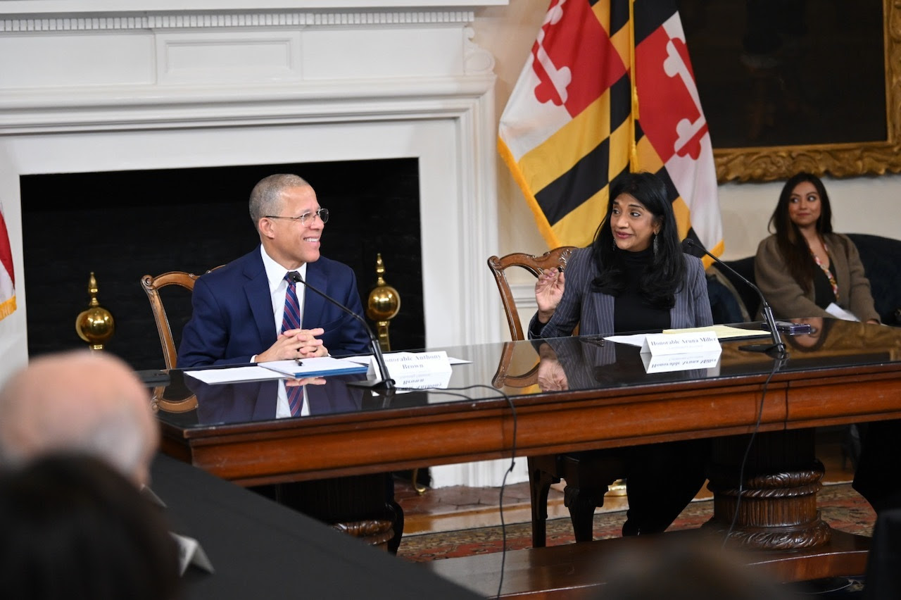 Family Violence Council